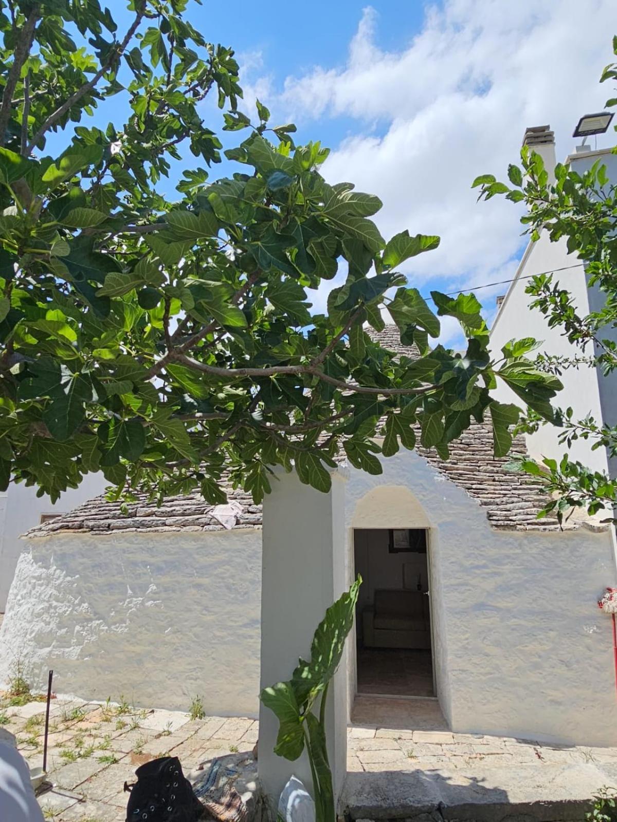 River Trulli Oasi Di Pace In Sito Unesco Alberobello Dış mekan fotoğraf