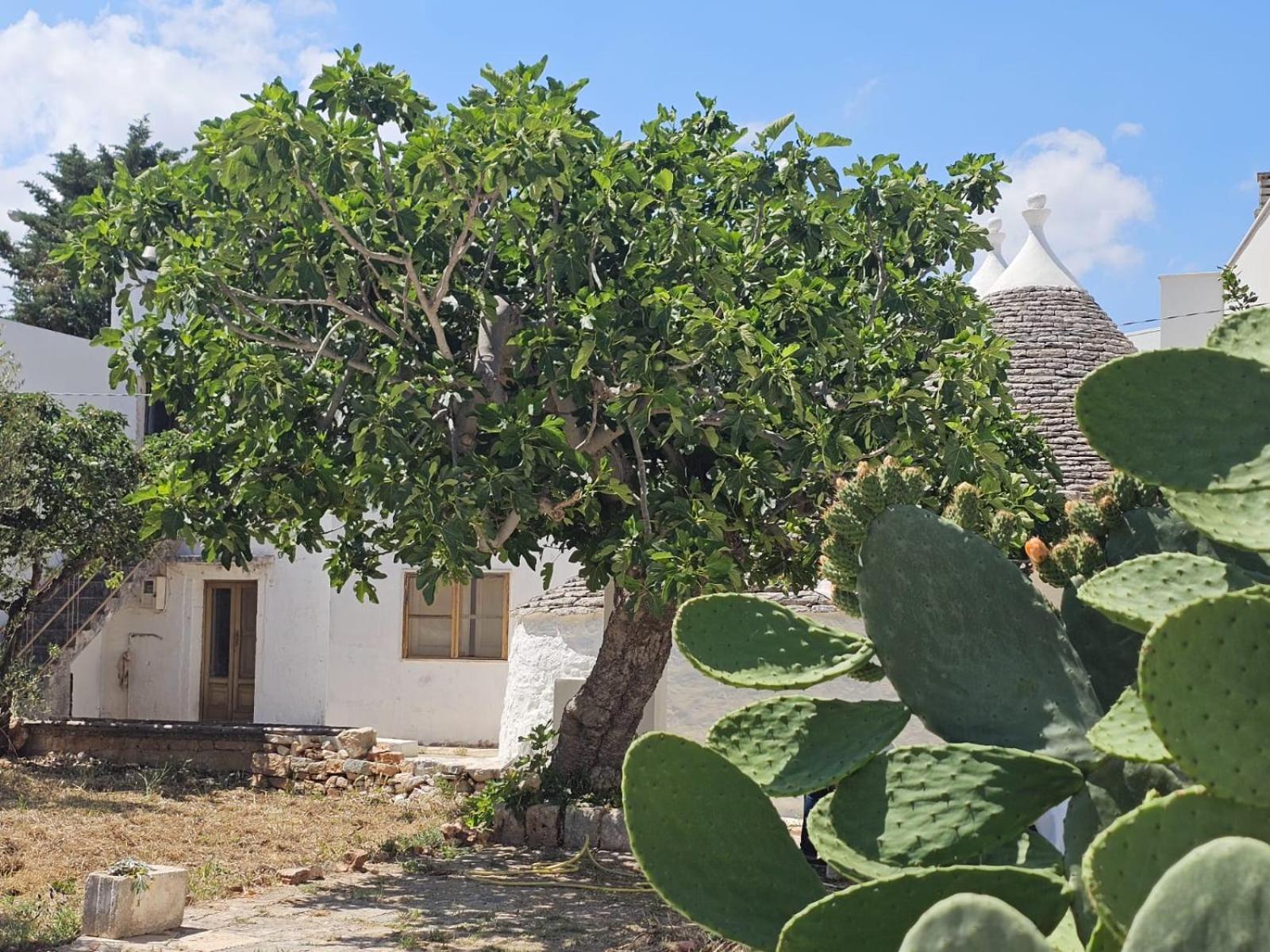 River Trulli Oasi Di Pace In Sito Unesco Alberobello Dış mekan fotoğraf