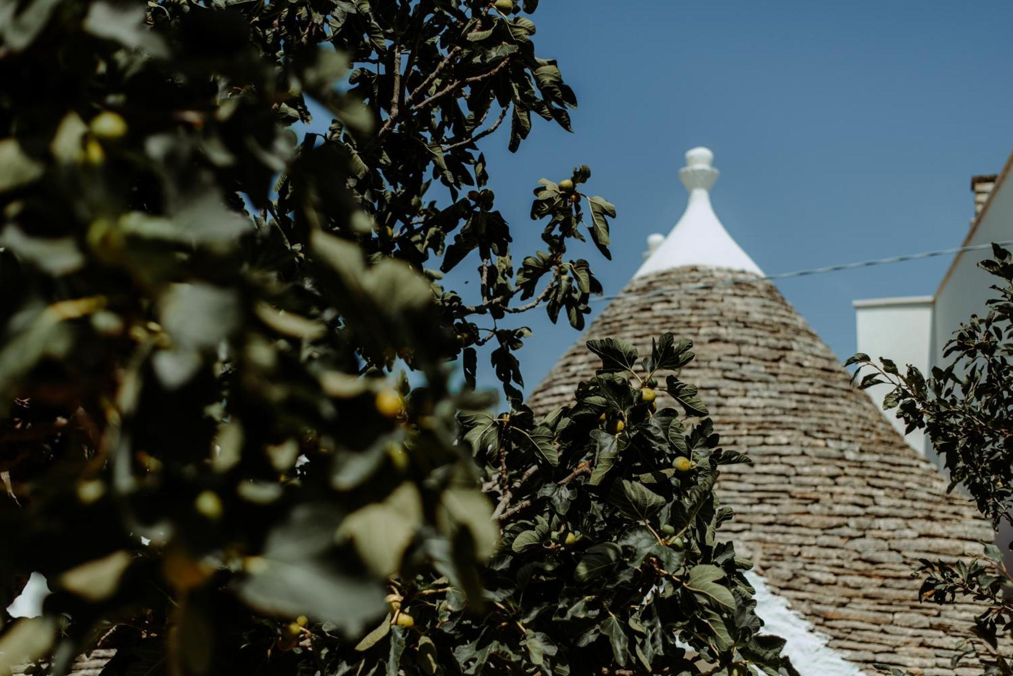 River Trulli Oasi Di Pace In Sito Unesco Alberobello Dış mekan fotoğraf